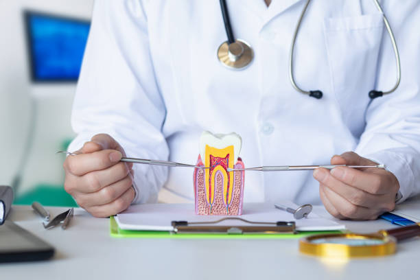 Best Broken or Cracked Tooth Emergency Dentist in American Fork, UT